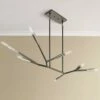 Branches 49 1/4" Wide Black Kitchen Island Light Chandelier -Lighting Sales Shop branches 49 and one quarter inch wide black kitchen island light chandelier 35h25cropped