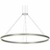 Double Corona 59" Wide Satin Aluminum 2-Light LED Pendant -Lighting Sales Shop double corona 59 inch wide satin aluminum 2 light led pendant 53y21