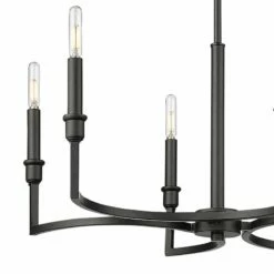 Golden Lighting Ellyn 25" Wide Matte Black Metal 6-Light Chandelier -Lighting Sales Shop ellyn 25 inch wide matte black metal 6 light chandelier 045c2views1