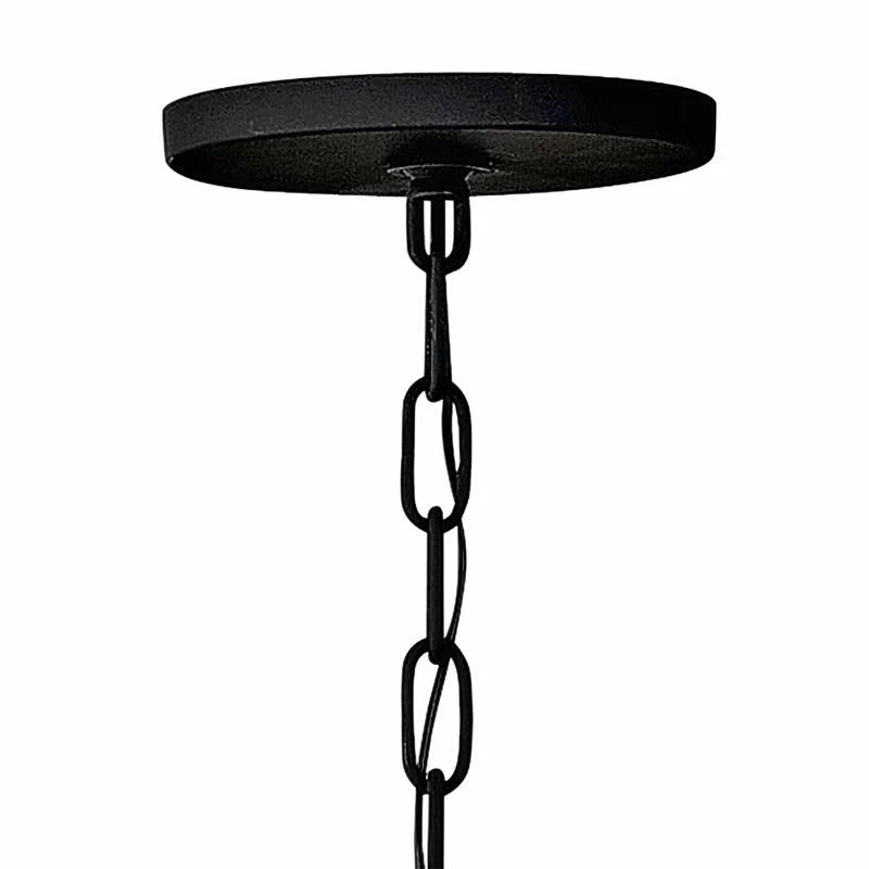 Hinkley Ariel 26"W Black 12-Light Starburst Pendant Light 5 Hinkley Ariel 26"W Black 12-Light Starburst Pendant Light - Image 3