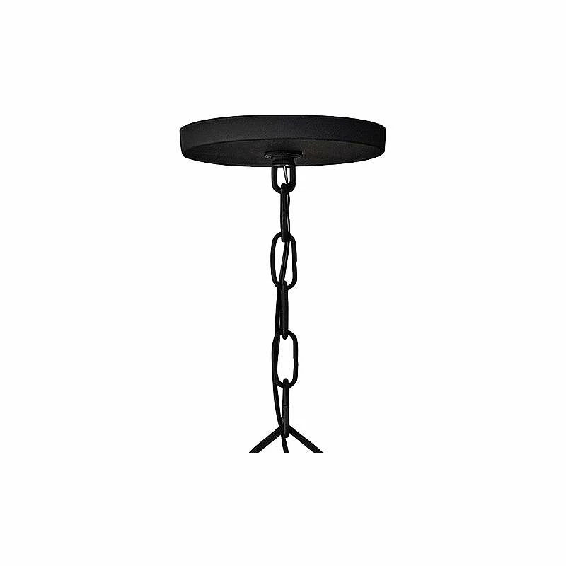 Hinkley Ariel 40"W Black 12-Light Starburst Pendant Light 6 Hinkley Ariel 40"W Black 12-Light Starburst Pendant Light - Image 4