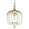 Varaluz Voliere 12 1/2" Wide Havana Gold Pendant Light -Lighting Sales Shop varaluz voliere 12 and one half inch wide havana gold pendant light 86g23